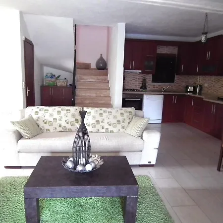 Nefise Villa Ortaca (Mugla)